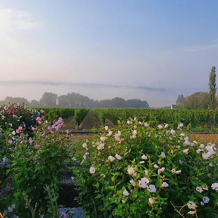Rebschule Hotel Freyburg
