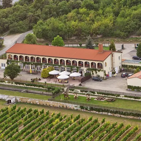 Rebschule Freyburg