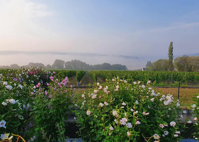 Rebschule Hotell Freyburg