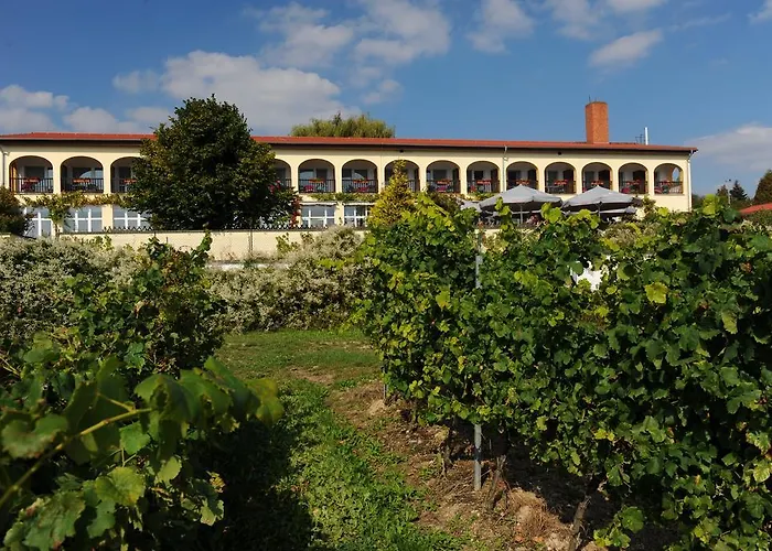 Rebschule Ξενοδοχείο Freyburg